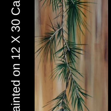 Holiday Pine